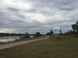 GIGNY SUR SAÔNE (71) - CIRCUIT DES BORDS DE SAÔNE (GS2)-saone-et-loire