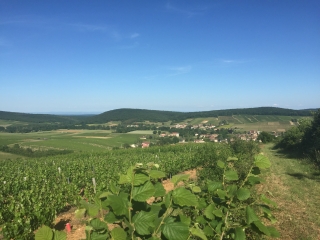 VERZé - MONT DE Fâ - LA ROCHE VINEUSE - ESCOLLES - VERZé-saone-et-loire