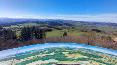 LA BUTTE DE SUIN : LE SENTIER DE MORPHéE-saone-et-loire