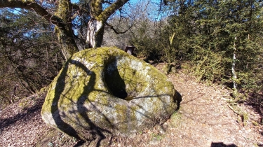 SUIN : LE SENTIER DES PIERRES à LéGENDES-saone-et-loire
