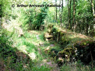 JUGY – CIRCUIT DES BUIS 2-saone-et-loire