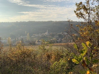 PLOTTES (71) - SENTIER DES VIGNES PL3-saone-et-loire