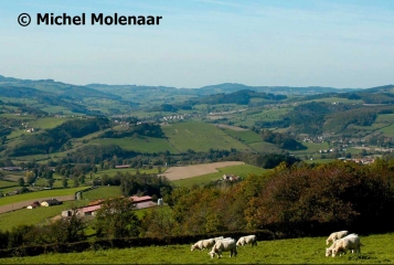 TRAMAYES - TOUR DE VANNAS-saone-et-loire