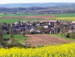 MEZIERES-SOUS-LAVARDIN  -  ST CHERON ET LA FORET DE MEZIERES-sarthe