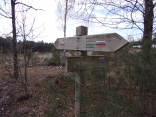 SAINT-MARS-D OUTILLE - LES SAPINS DE LA SAULE (2)-sarthe
