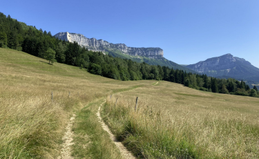 VERS LE GRAND CARROZ-savoie