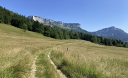 VERS LE GRAND CARROZ-savoie