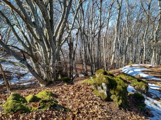 HAUTECOMBE ET LE CHARVAZ-savoie