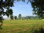 BEAUVOIR-EN-LYONS-seine-maritime