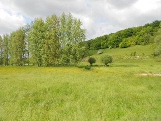 HAUDRICOURT - LA HUANIèRE-seine-maritime