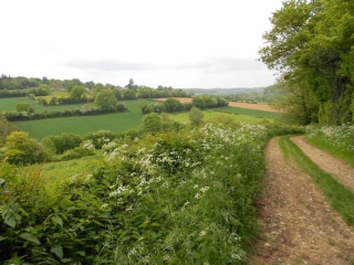 HAUDRICOURT - LA HUANIèRE-seine-maritime