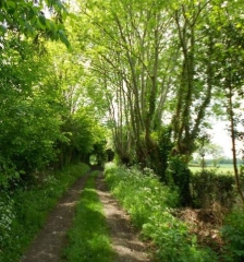 CRIQUIERS - LE BOIS DES PUITS-seine-maritime