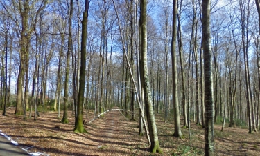 SAINT-MARTIN-AU-BOSC - LE MARQUET-seine-maritime