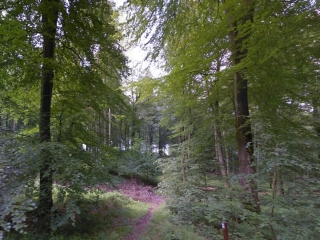 BLANGY-SUR-BRESLE – CIRCUIT DE GéRENTE-seine-maritime