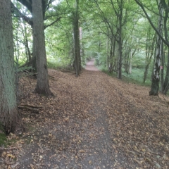 BOSC GUERARD ST ADRIEN 76-seine-maritime