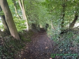 CLERES (76) - SUR LES PLATEAUX DE LA CLERETTE-seine-maritime