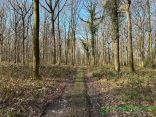 CUVERVILLE SUT YERES (76) - CIRCUIT DE GRATTE-PANCHE-seine-maritime