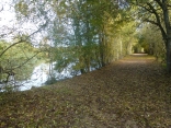 NATURE ET ARCHITECTURE A ST QUENTIN EN YVELINES-yvelines