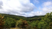 CABANES-tarn