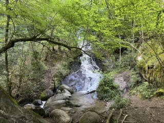 BURLATS - SENTIER DE LA CASCADE DU PARADIS-tarn