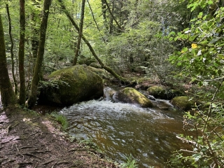 LACROUZETTE - SENTIER RIVIERE DE ROCHERS-tarn