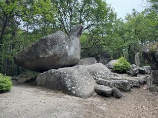 LACROUZETTE - SENTIER DE CREMAUSSEL-tarn