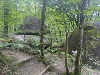 SAINT-SALVY-DE -LA-BALME - LE SENTIER DES LEGENDES-tarn