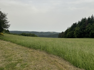 VABRE - PUECH DE BOURION-tarn