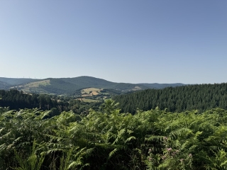 LACAUNE - LE SENTIER DES MULETIERS-tarn