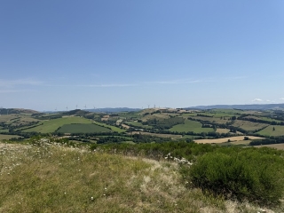 BARRE - LE MONT BARRE-tarn