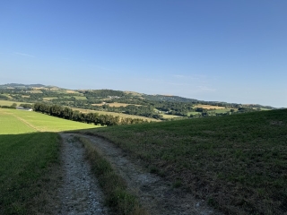 MOULIN-MAGE - CHEMIN DES CRETES-tarn