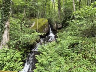 FONTRIEU - LA BOUCLE DES PLOS-tarn