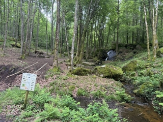 FONTRIEU - SENTIER DE DECOUVERTE DE LA FORET DE MONTAGNOL-tarn