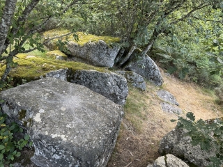 NAGES - LE TOUR DU LAC-tarn