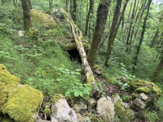 FONTRIEU - SENTIER DES BERGERS-tarn