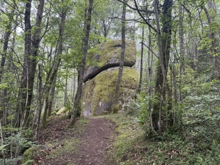 FONTRIEU - SENTIER DES BERGERS-tarn