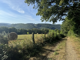 LACAZE - CHEMIN DE LA RAZIGADE-tarn