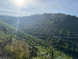 LA RAZIGADE - VALLÉE DU GIJOU 1-tarn