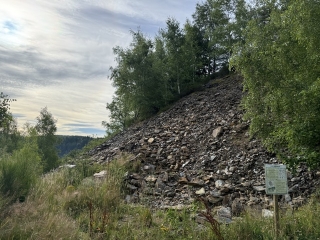 FONTRIEU - LA FOREET DE MONTAGNOL-tarn