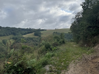 ST-PIERRE-DE-TRIVISY - LA TRIVALLE-tarn