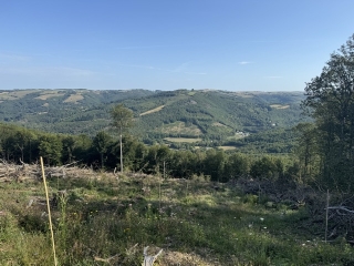 LA RAZIGADE - ST JEAN DE FRECH-tarn