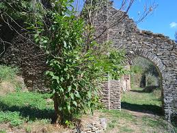 LACAZE - SENTIER DU CHEMIN DE PIERRE DE SENEGATS-tarn