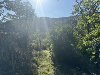 LACAZE - SENTIER DE LA BESSEDE-tarn