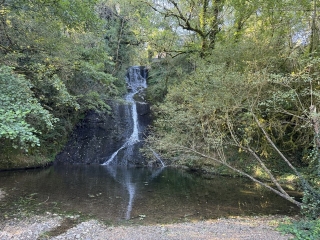 LE MASNAU-MASSUGUIES - LE SENTIER DU MASNAU-tarn