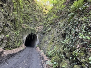 CASTRES - LACAUNE - PARCOURS DU PETIT TRAIN-tarn