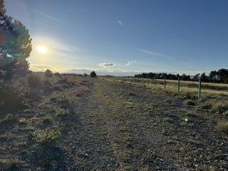 VALDURENQUE - LE CHEMIN DE CANTALAUSE-tarn