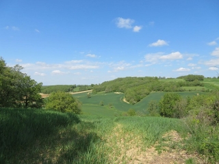 CARLUS - LES COTEAUX DE CARLUS PAR LE VIEUX CIMETIèRE-tarn