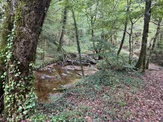 CRESPINET - LES CHEMINS DE PEYGUES-tarn