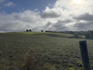 CRESPINET - LES CHEMINS DE PEYGUES-tarn