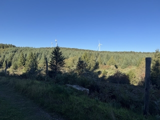 haut-languedoc - LACAUNE-LES-BAINS - COL DE PICOTALEN-ROUMANE